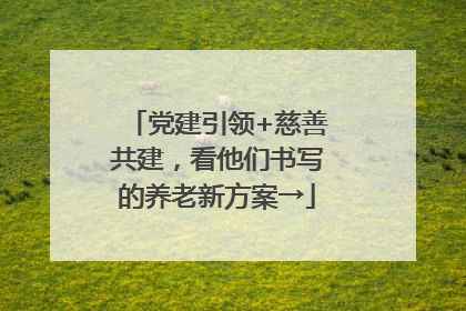 党建引领+慈善共建，看他们书写的养老新方案→