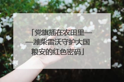 党旗插在农田里——潍柴雷沃守护大国粮安的红色密码