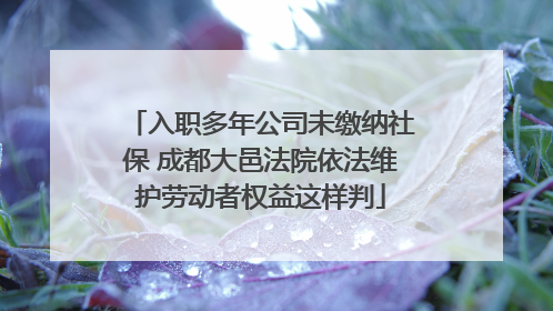 入职多年公司未缴纳社保 成都大邑法院依法维护劳动者权益这样判