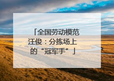 全国劳动模范汪俊：分拣场上的“冠军手”