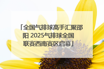 全国气排球高手汇聚邵阳 2025气排球全国联赛西南赛区启幕