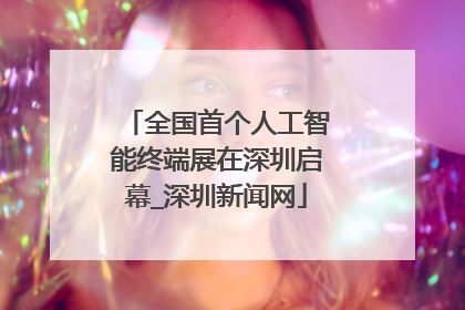 全国首个人工智能终端展在深圳启幕_深圳新闻网