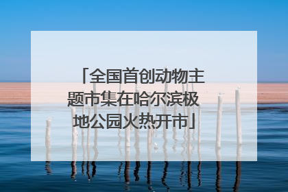 全国首创动物主题市集在哈尔滨极地公园火热开市
