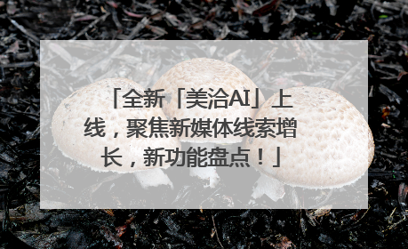 全新「美洽AI」上线，聚焦新媒体线索增长，新功能盘点！