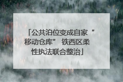 公共泊位变成自家“移动仓库” 铁西区柔性执法联合整治
