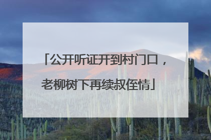 公开听证开到村门口，老柳树下再续叔侄情