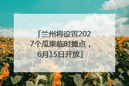 兰州将设置2027个瓜果临时摊点，6月15日开放