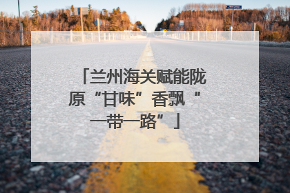 兰州海关赋能陇原“甘味”香飘“一带一路”