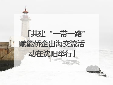 共建“一带一路”赋能侨企出海交流活动在沈阳举行