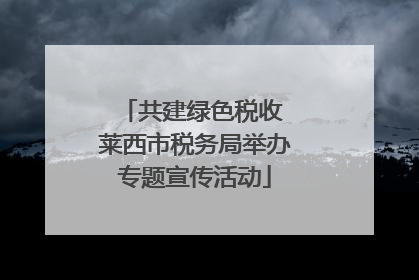 共建绿色税收 莱西市税务局举办专题宣传活动