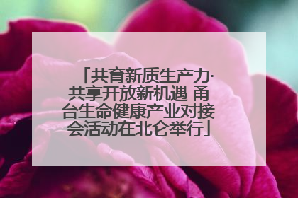 共育新质生产力·共享开放新机遇 甬台生命健康产业对接会活动在北仑举行