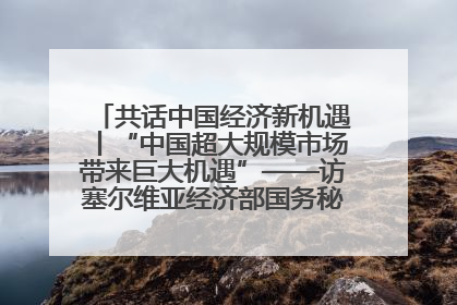 共话中国经济新机遇丨“中国超大规模市场带来巨大机遇”——访塞尔维亚经济部国务秘书尼科利奇