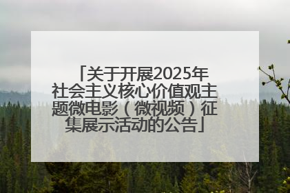 关于开展2025年社会主义核心价值观主题微电影（微视频）征集展示活动的公告