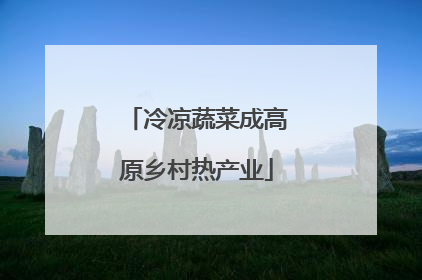 冷凉蔬菜成高原乡村热产业