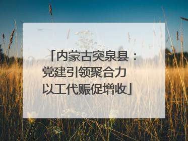 内蒙古突泉县：党建引领聚合力 以工代赈促增收