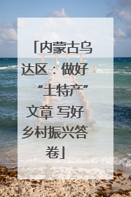 内蒙古乌达区：做好“土特产”文章 写好乡村振兴答卷