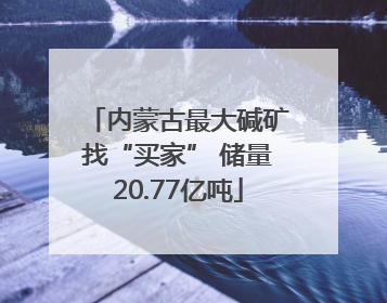 内蒙古最大碱矿找“买家” 储量20.77亿吨
