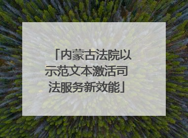 内蒙古法院以示范文本激活司法服务新效能