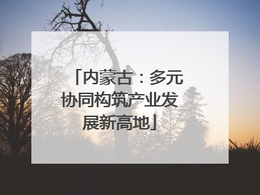 内蒙古：多元协同构筑产业发展新高地