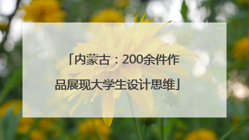 内蒙古：200余件作品展现大学生设计思维
