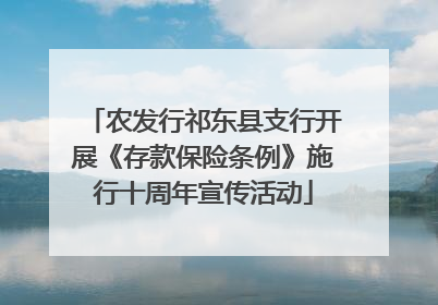 农发行祁东县支行开展《存款保险条例》施行十周年宣传活动