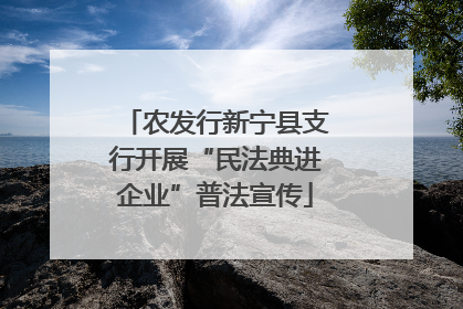 农发行新宁县支行开展“民法典进企业”普法宣传