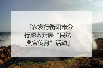 农发行衡阳市分行深入开展“民法典宣传月”活动