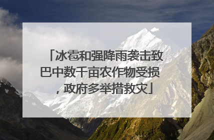 冰雹和强降雨袭击致巴中数千亩农作物受损，政府多举措救灾