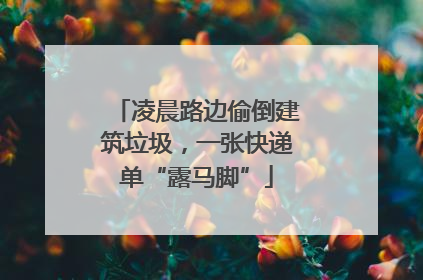 凌晨路边偷倒建筑垃圾，一张快递单“露马脚”