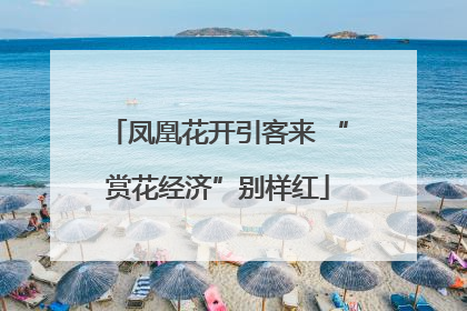 凤凰花开引客来 “赏花经济”别样红