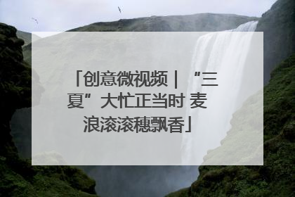 创意微视频｜“三夏”大忙正当时 麦浪滚滚穗飘香