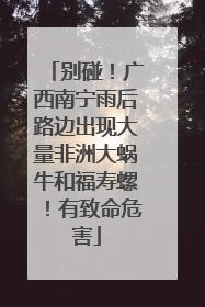 别碰！广西南宁雨后路边出现大量非洲大蜗牛和福寿螺！有致命危害