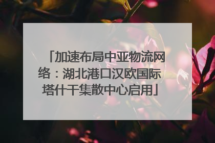 加速布局中亚物流网络：湖北港口汉欧国际塔什干集散中心启用