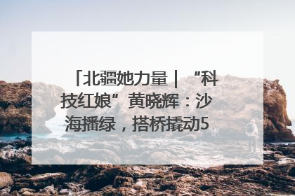北疆她力量｜“科技红娘”黄晓辉：沙海播绿，搭桥撬动5.3亿研发