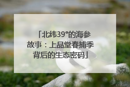 北纬39°的海参故事：上品堂春捕季背后的生态密码
