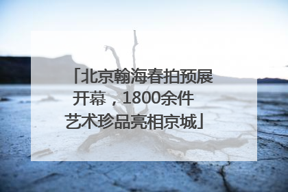 北京翰海春拍预展开幕，1800余件艺术珍品亮相京城