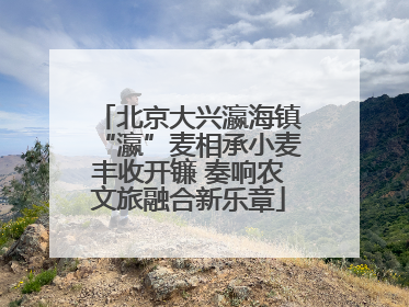北京大兴瀛海镇“瀛”麦相承小麦丰收开镰 奏响农文旅融合新乐章