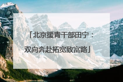 北京援青干部田宁：双向奔赴拓宽致富路