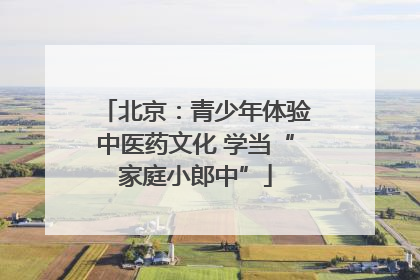 北京：青少年体验中医药文化 学当“家庭小郎中”