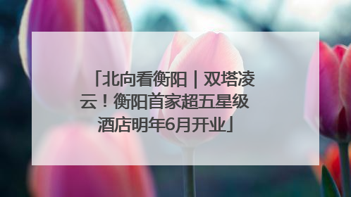北向看衡阳｜双塔凌云！衡阳首家超五星级酒店明年6月开业