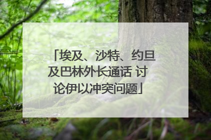 埃及、沙特、约旦及巴林外长通话 讨论伊以冲突问题