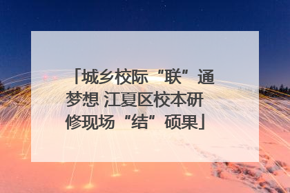 城乡校际“联”通梦想 江夏区校本研修现场“结”硕果