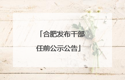 合肥发布干部任前公示公告