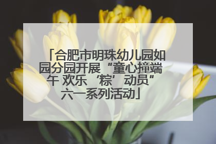 合肥市明珠幼儿园如园分园开展“童心撞端午 欢乐‘粽’动员”六一系列活动
