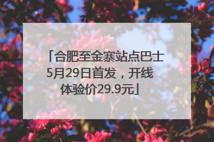 合肥至金寨站点巴士5月29日首发，开线体验价29.9元