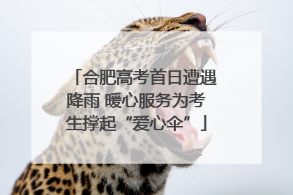合肥高考首日遭遇降雨 暖心服务为考生撑起“爱心伞”
