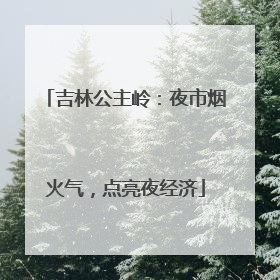 吉林公主岭：夜市烟火气，点亮夜经济