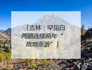 吉林：罕见白鸬鹚连续两年“故地重游”