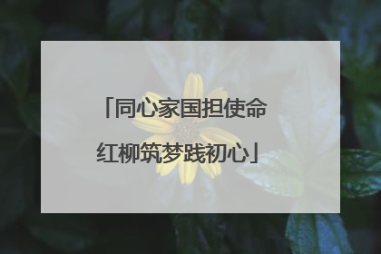 同心家国担使命 红柳筑梦践初心