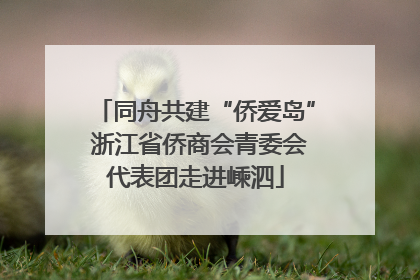 同舟共建“侨爱岛” 浙江省侨商会青委会代表团走进嵊泗